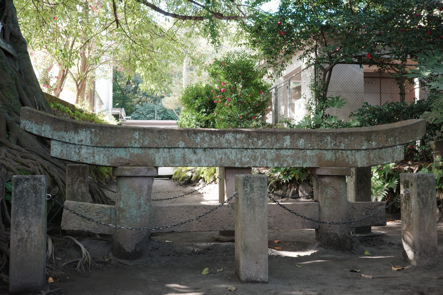 山口大學十二月留學生活報告