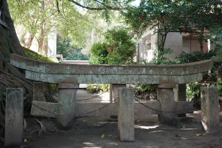 山口大學十二月留學生活報告